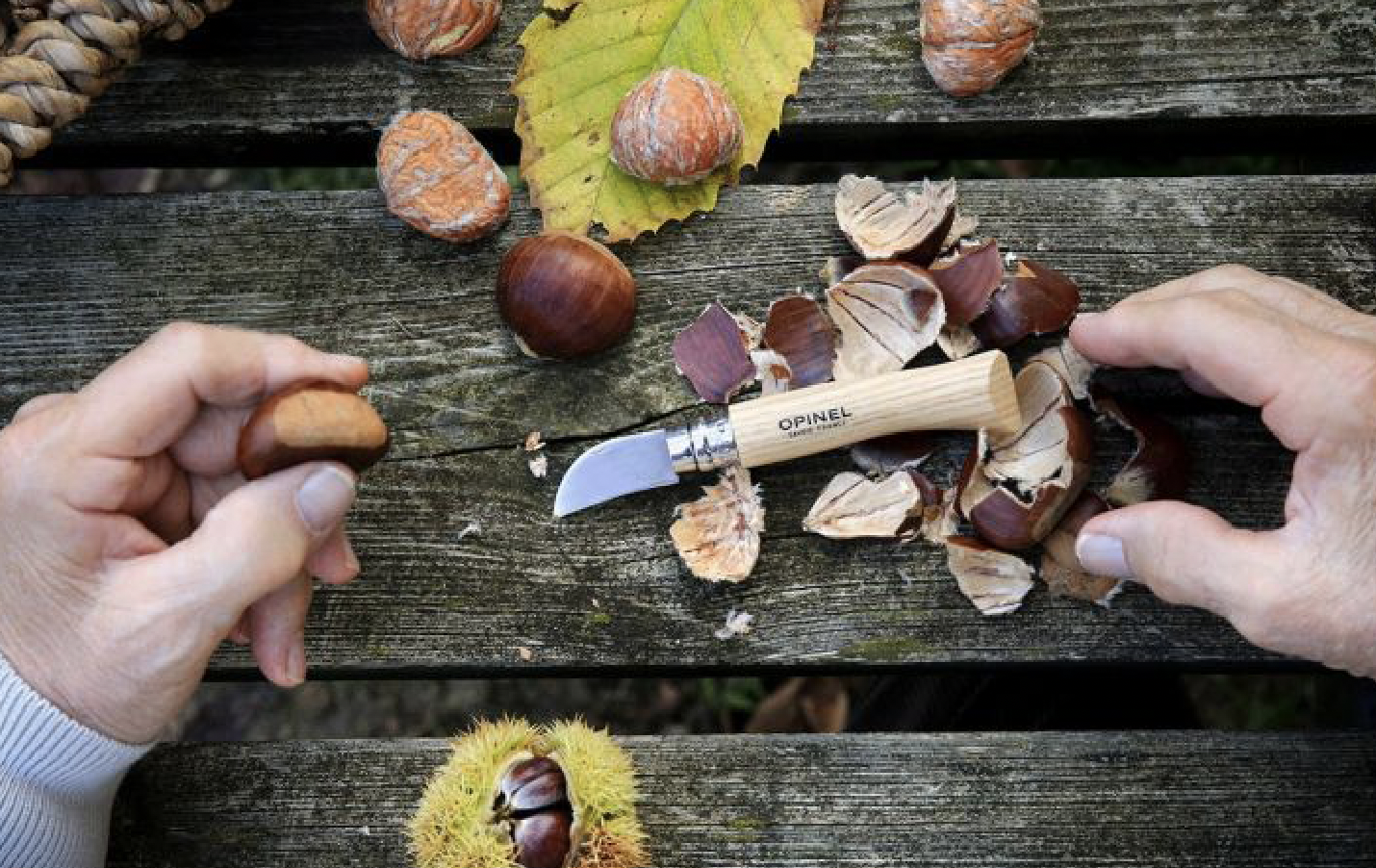 Opinel